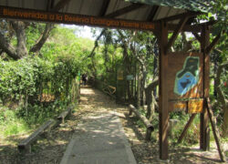 Reserva Ecológica Vicente López