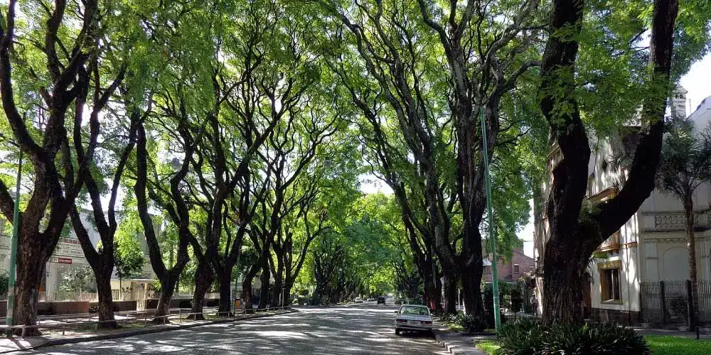 A Walk through Belgrano